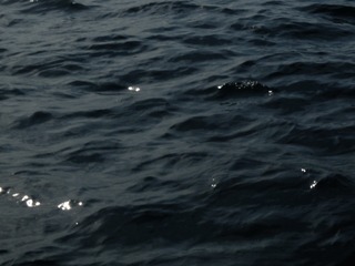 70E899C3-5FD4-4F46-B1E4-4DE6ED930E25/L0/001