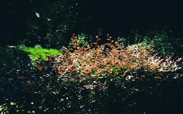 2842739D-8F6B-4F86-9B35-365BC885E2BC/L0/001