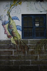 _IMG1349.jpg