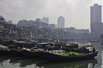 _IMG1360.jpg