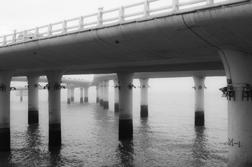 _IMG1503.jpg