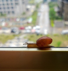 WP_20130516_014