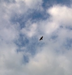 WP_20130605_002