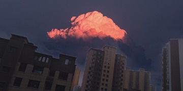 1228033
