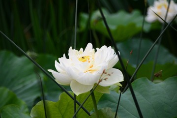 6D66A203-095E-4CF1-83C9-D6F0915495CF/L0/001