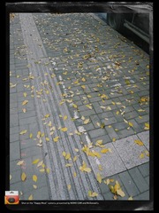 6CEB5ADB-AB66-4D56-B918-49C766A99F7F/L0/001