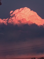 379
