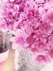 75873B63-9707-4B72-AC4C-7DD3B7C24B84/L0/001