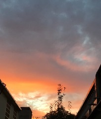 4720C608-AE7C-4CBE-A0DB-1489072B8B4B/L0/001