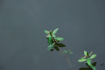 1292317F-537D-4AB1-A166-FDE4E66464DD/L0/001
