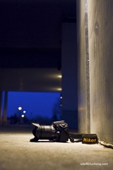 IMG_3039.jpg