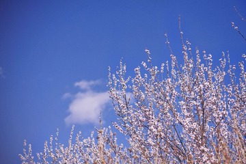IMG_3436.jpg