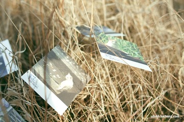 IMG_3623.jpg