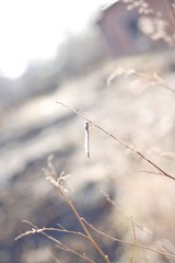 IMG_3597.jpg