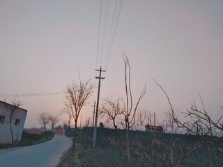 1647582