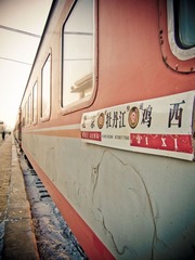 CRW_4333-2