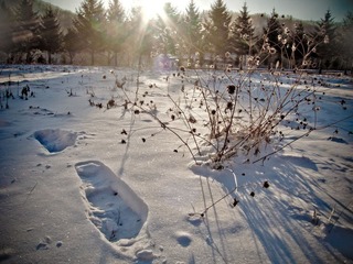 CRW_4357-2