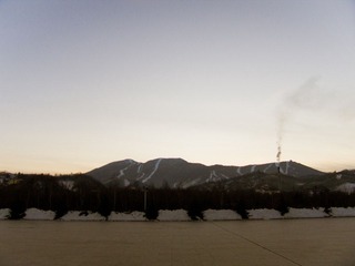 CRW_4603