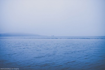 IMG_1239.jpg