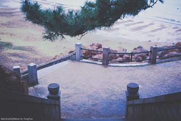IMG_1245.jpg
