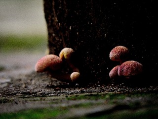 537050