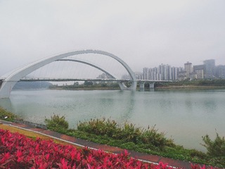 487541