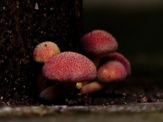 537070