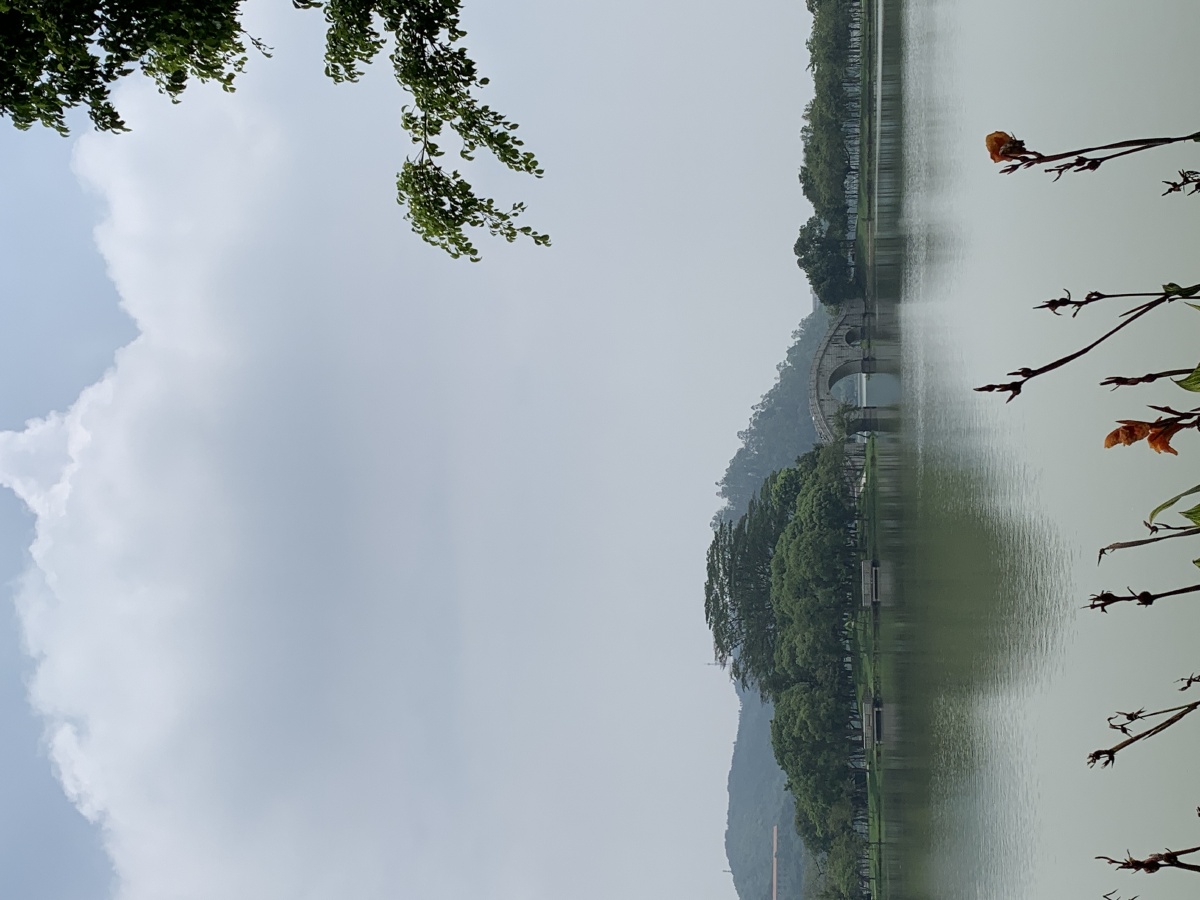 顺峰山公园