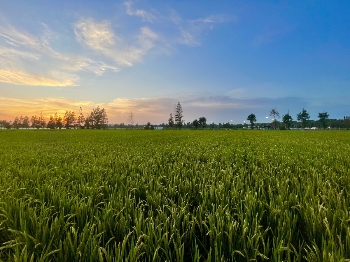 天空蔚蓝多彩田野一片绿油油天地美景尽收眼底