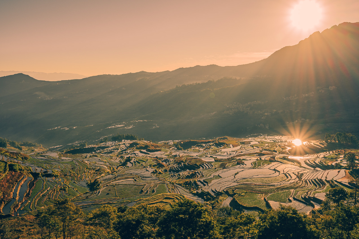 多依树梯田日出全过程