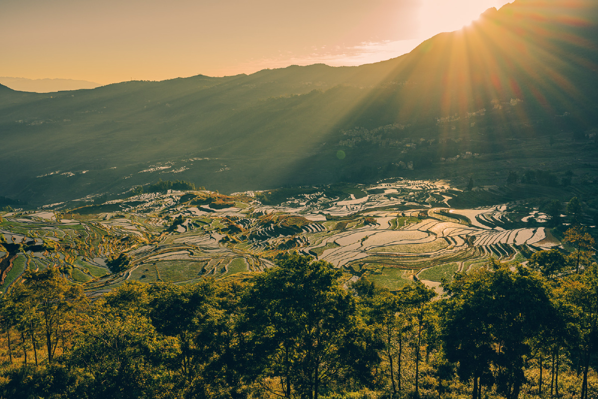 多依树梯田日出全过程