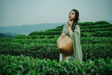 Z9L_2368-拷贝