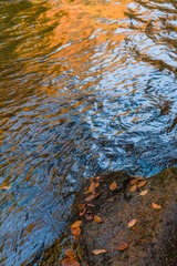 _DSC0168-1