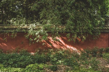 _LIR9754
