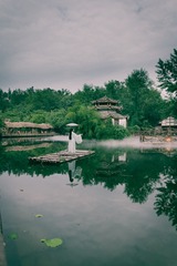 _LIR3336