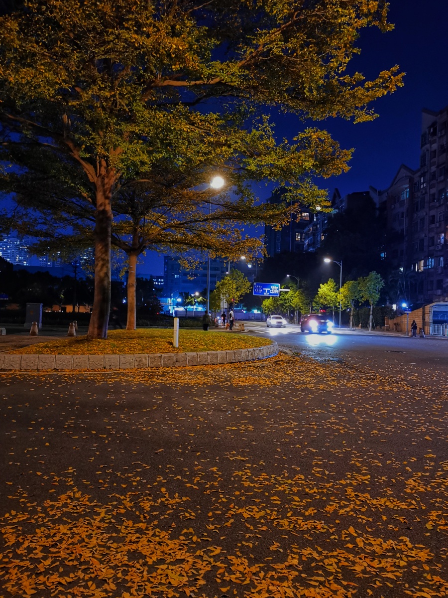 夜来风雨声 花落知多少 - annie随心拍 - 图虫