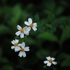 43F902D8-7273-4C94-8F01-1681E109E432/L0/001