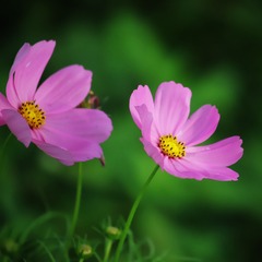 7476BDF2-C7C6-4FC9-89D8-5F259B38FD9F/L0/001