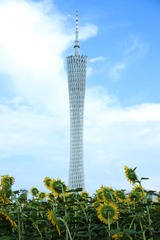 BDFF1F19-5D67-43F6-BD29-EBD0F1E6F8CA/L0/001
