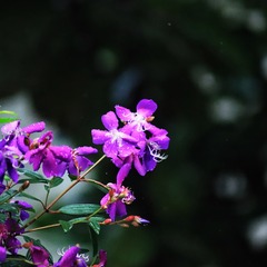 19C0AE6D-B9FB-46D9-92DE-70209FCA570E/L0/001