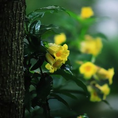 AC8BA2EE-330B-40E5-9C2D-EDDB61B8A08E/L0/001