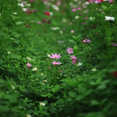 99741A95-5E05-40EB-AEE2-25AB9F7B50DB/L0/001
