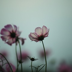 34A3386C-B890-4878-A410-B8DFB2879B99/L0/001