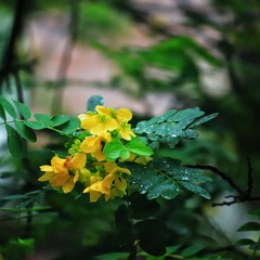 D085D519-AAC7-4CBF-B73C-7C8F95A44236/L0/001