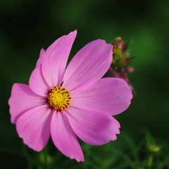 D0742254-3F67-42C3-B7DD-3A5ADEB7D926/L0/001