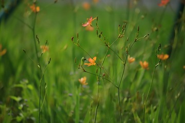 BA9D7CF2-B652-4F1B-9EAE-D26B93B9B65B/L0/001