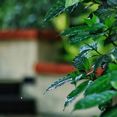 2BA34612-8CAF-4C10-A9B4-DC9C0A1E866C/L0/001