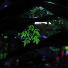C4DD88FF-2A52-4AA1-8DD3-4323D892BBE7/L0/001