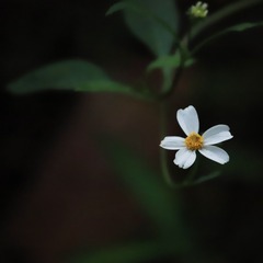 66D52CEE-376A-4BB2-B811-9AE1CCA1D984/L0/001