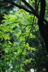 A1F39157-FE52-4596-B610-864393D986BD/L0/001